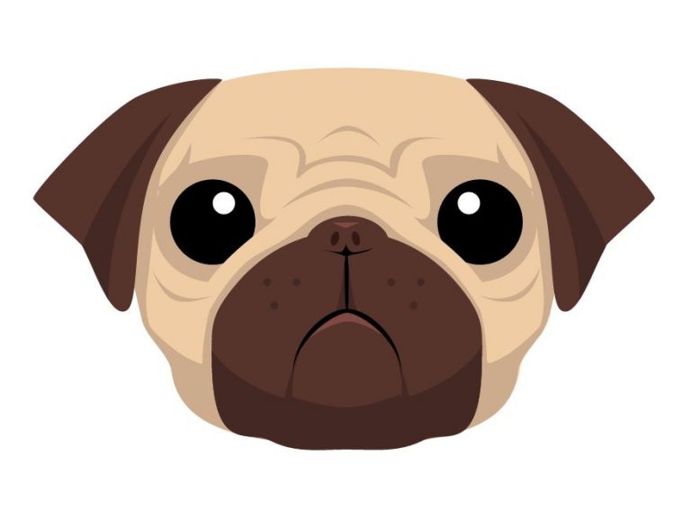 convert email into pug template